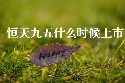 恒天九五什么时候上市_https://m.letulww.com_期货交易软件_第1张