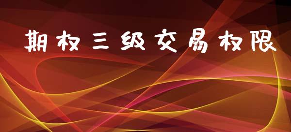 期权三级交易权限_https://m.letulww.com_股指期货交易时间_第1张