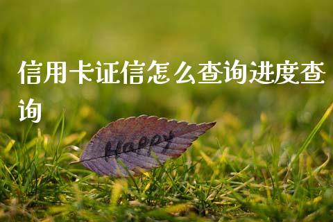 信用卡证信怎么查询进度查询_https://m.letulww.com_期货开户保证金_第1张
