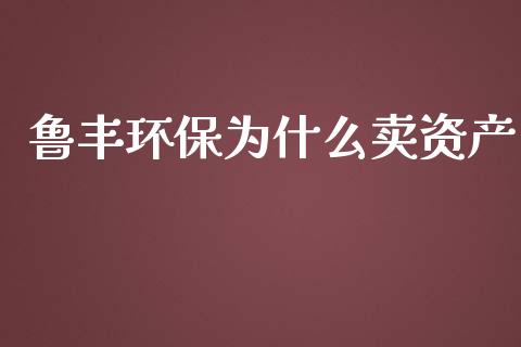 鲁丰环保为什么卖资产_https://m.letulww.com_期货开户保证金_第1张