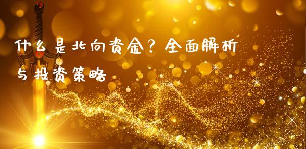 什么是北向资金？全面解析与投资策略_https://m.letulww.com_股指期货交易时间_第1张