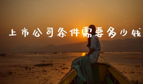 上市公司条件需要多少钱_https://m.letulww.com_期货交易软件_第1张