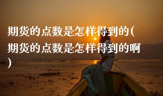 期货的点数是怎样得到的(期货的点数是怎样得到的啊)_https://m.letulww.com_期货交易策略_第1张