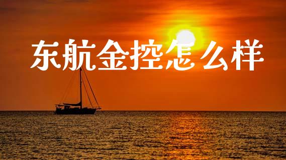 东航金控怎么样_https://m.letulww.com_期货开户保证金_第1张