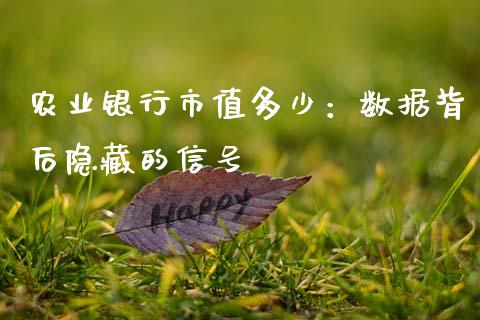 农业银行市值多少：数据背后隐藏的信号_https://m.letulww.com_股指期货交易时间_第1张