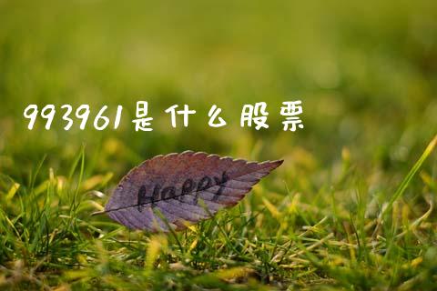 993961是什么股票_https://m.letulww.com_股指期货交易时间_第1张