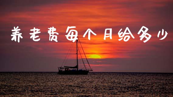 养老费每个月给多少_https://m.letulww.com_期货交易软件_第1张