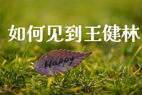 如何见到王健林_https://m.letulww.com_期货交易策略_第1张