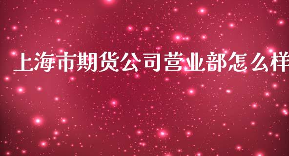 上海市期货公司营业部怎么样_https://m.letulww.com_期货交易软件_第1张