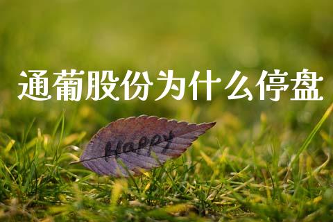 通葡股份为什么停盘_https://m.letulww.com_期货交易软件_第1张