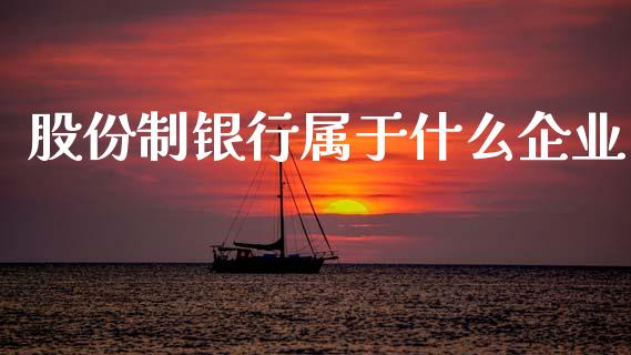 股份制银行属于什么企业_https://m.letulww.com_期货交易软件_第1张