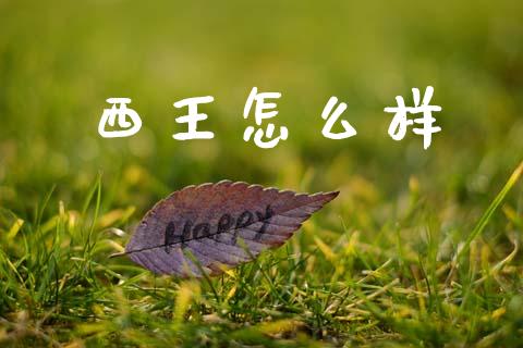 西王怎么样_https://m.letulww.com_期货交易软件_第1张