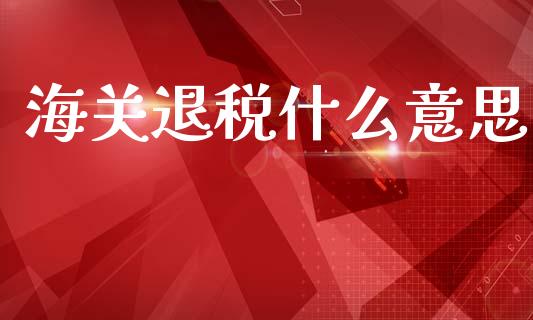 海关退税什么意思_https://m.letulww.com_期货开户保证金_第1张