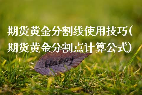 期货黄金分割线使用技巧(期货黄金分割点计算公式)_https://m.letulww.com_期货开户保证金_第1张