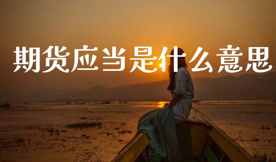 期货应当是什么意思_https://m.letulww.com_期货交易策略_第1张