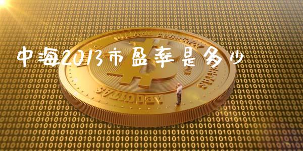 中海2013市盈率是多少_https://m.letulww.com_期货交易策略_第1张