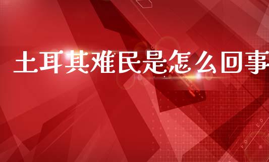 土耳其难民是怎么回事_https://m.letulww.com_期货交易策略_第1张