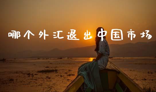 哪个外汇退出中国市场_https://m.letulww.com_期货交易策略_第1张
