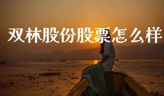 双林股份股票怎么样_https://m.letulww.com_期货交易软件_第1张