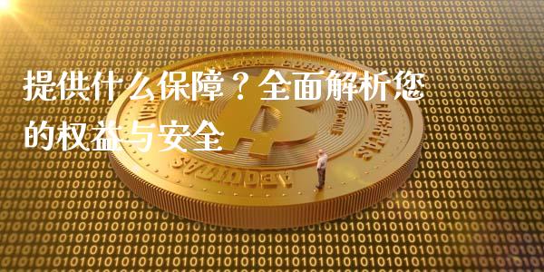 提供什么保障？全面解析您的权益与安全_https://m.letulww.com_期货交易软件_第1张
