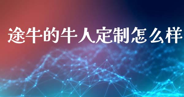 途牛的牛人定制怎么样_https://m.letulww.com_期货交易策略_第1张