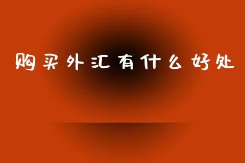 购买外汇有什么好处_https://m.letulww.com_期货交易软件_第1张