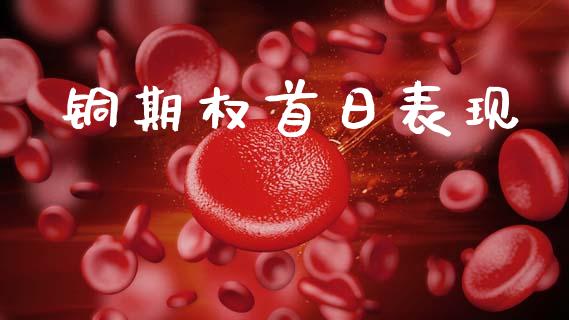 铜期权首日表现_https://m.letulww.com_期货交易策略_第1张
