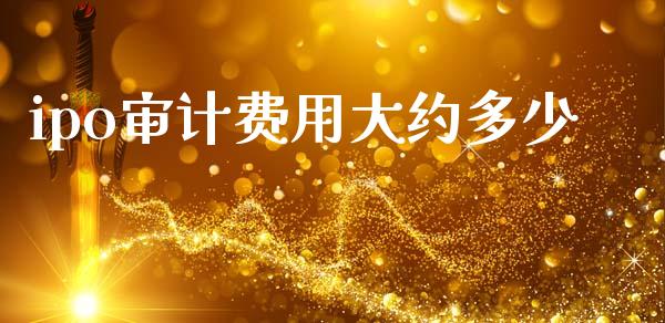 ipo审计费用大约多少_https://m.letulww.com_股指期货交易时间_第1张