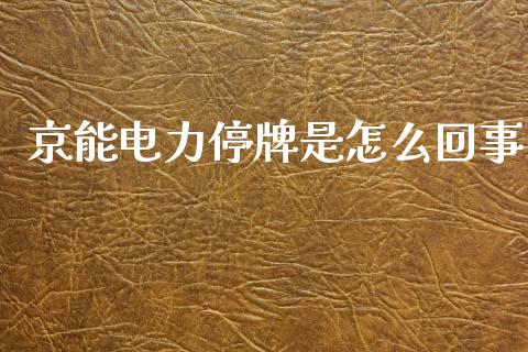 京能电力停牌是怎么回事_https://m.letulww.com_期货开户保证金_第1张