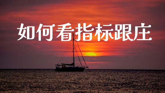 如何看指标跟庄_https://m.letulww.com_期货开户保证金_第1张