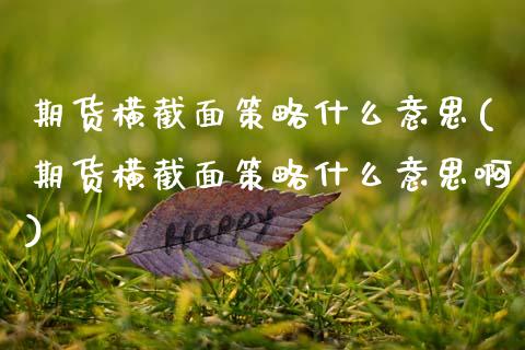 期货横截面策略什么意思(期货横截面策略什么意思啊)_https://m.letulww.com_股指期货交易时间_第1张