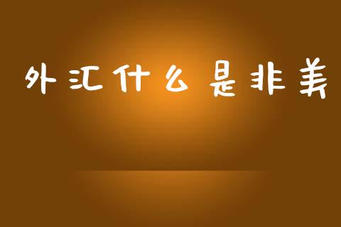 外汇什么是非美_https://m.letulww.com_期货开户保证金_第1张