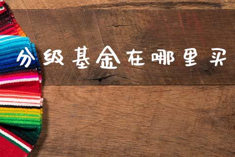 分级基金在哪里买_https://m.letulww.com_期货交易软件_第1张