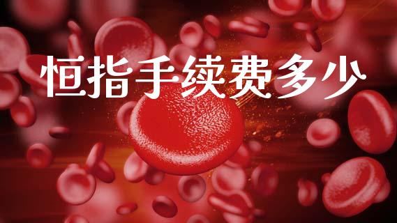 恒指手续费多少_https://m.letulww.com_期货开户保证金_第1张