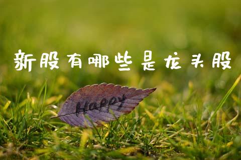 新股有哪些是龙头股_https://m.letulww.com_股指期货交易时间_第1张