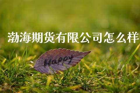 渤海期货有限公司怎么样_https://m.letulww.com_股指期货交易时间_第1张