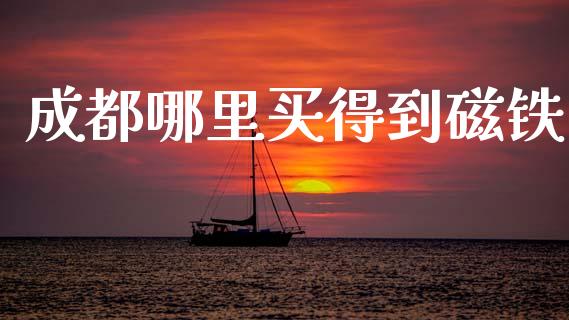 成都哪里买得到磁铁_https://m.letulww.com_期货交易软件_第1张