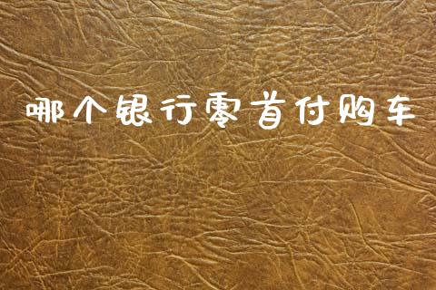 哪个银行零首付购车_https://m.letulww.com_期货交易软件_第1张