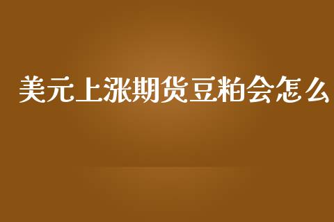美元上涨期货豆粕会怎么_https://m.letulww.com_期货开户保证金_第1张