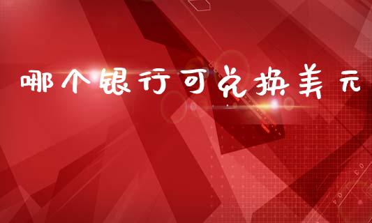 哪个银行可兑换美元_https://m.letulww.com_期货交易软件_第1张