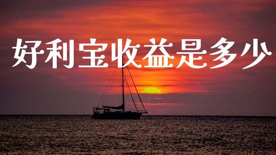 好利宝收益是多少_https://m.letulww.com_期货开户保证金_第1张