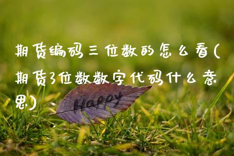 期货编码三位数的怎么看(期货3位数数字代码什么意思)_https://m.letulww.com_期货交易策略_第1张