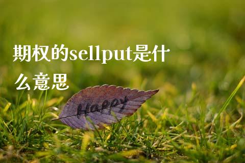 期权的sellput是什么意思_https://m.letulww.com_期货交易软件_第1张