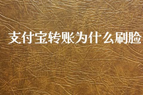 支付宝转账为什么刷脸_https://m.letulww.com_期货交易软件_第1张