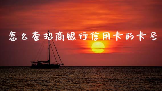 怎么查招商银行信用卡的卡号_https://m.letulww.com_期货交易策略_第1张