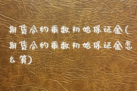期货合约乘数初始保证金(期货合约乘数初始保证金怎么算)_https://m.letulww.com_股指期货交易时间_第1张