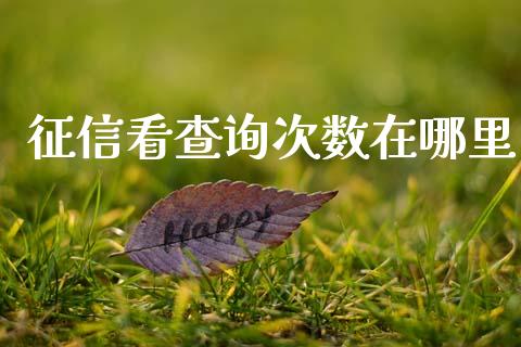 征信看查询次数在哪里_https://m.letulww.com_股指期货交易时间_第1张