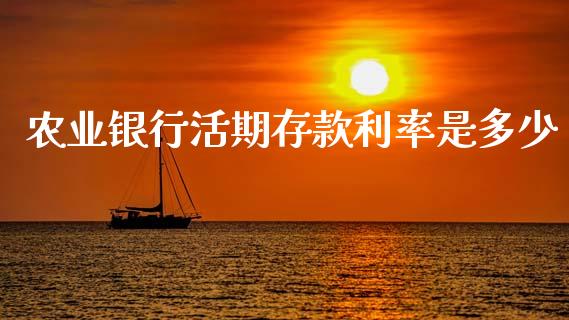农业银行活期存款利率是多少_https://m.letulww.com_期货交易软件_第1张