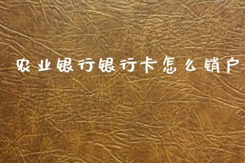 农业银行银行卡怎么销户_https://m.letulww.com_股指期货交易时间_第1张