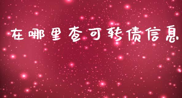 在哪里查可转债信息_https://m.letulww.com_期货开户保证金_第1张